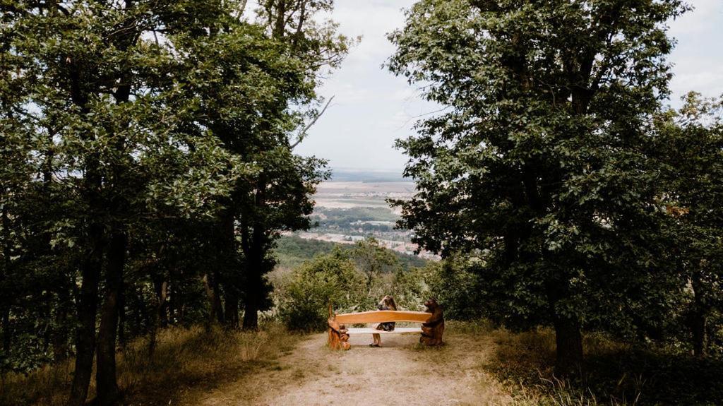 Naturtraum Georgshoehe Thale Extérieur photo