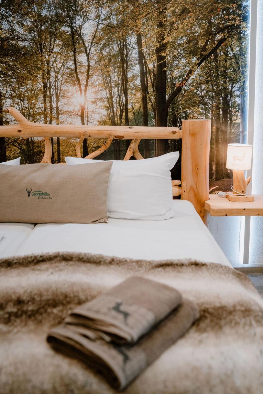 Naturtraum Georgshoehe Thale Chambre photo