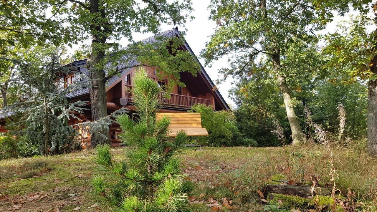Naturtraum Georgshoehe Thale Extérieur photo